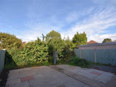 Picture 19